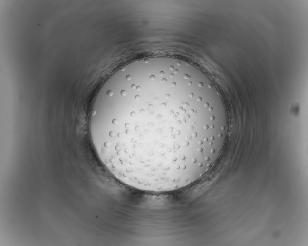 X0000091170469200708091028