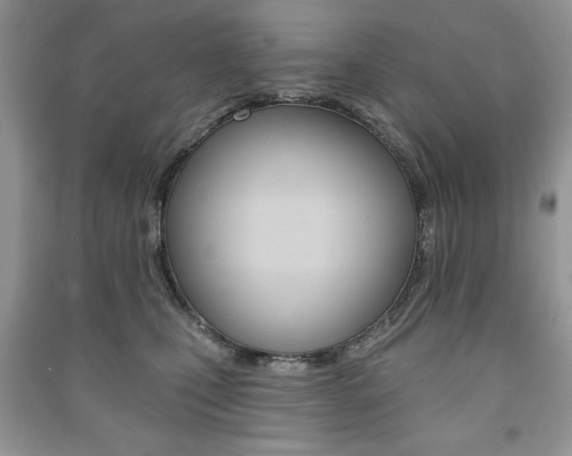 X0000091170471200708091028
