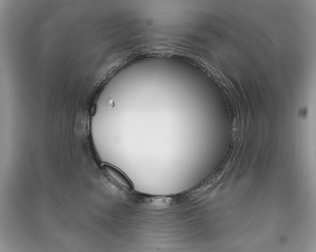 X0000091170474200708091028