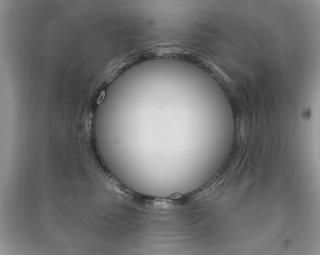 X0000091170475200708091028