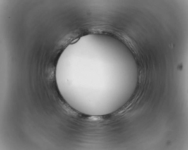 X0000091170477200708091028