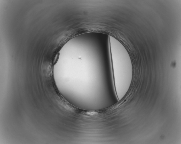 X0000091170478200708091028
