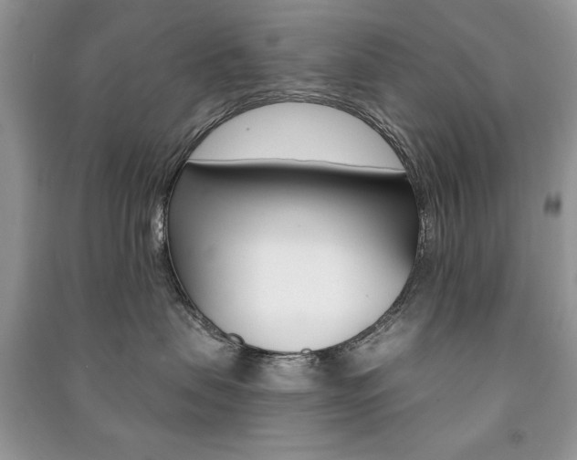 X0000091170479200708091028