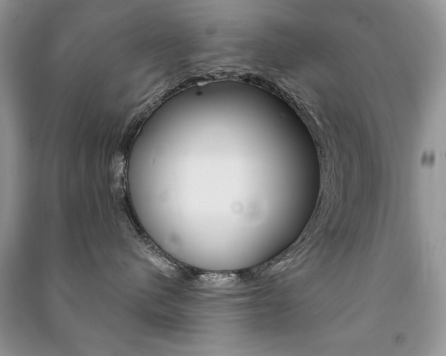 X0000091170480200708091028