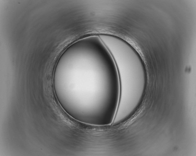 X0000091170481200708091027