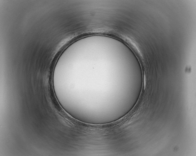 X0000091170483200708091027