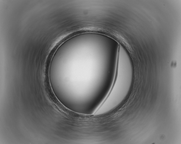 X0000091170484200708091027