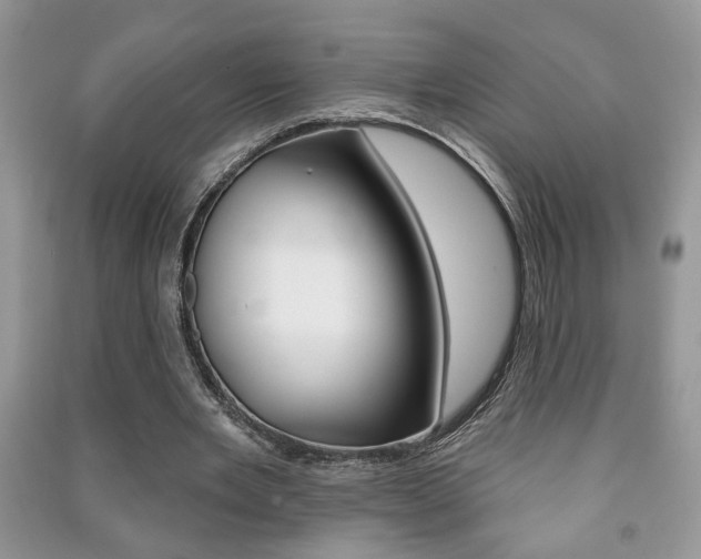 X0000091170485200708091027