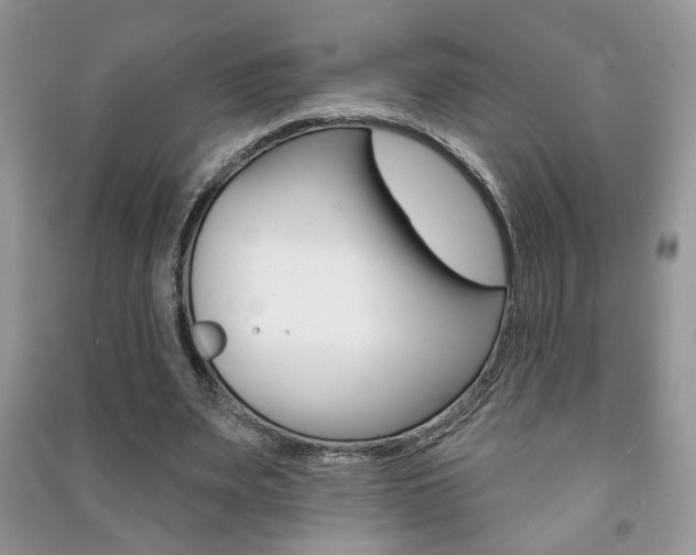 X0000091170487200708091027
