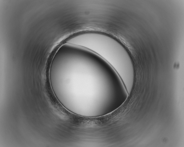 X0000091170488200708091027