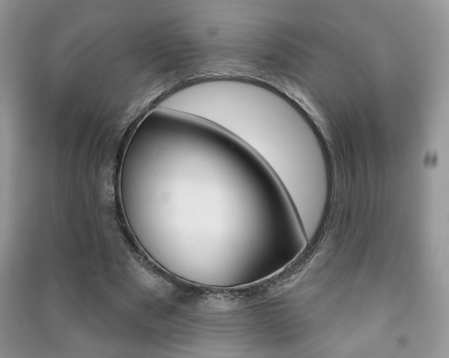 X0000091170489200708091027