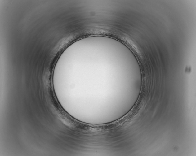X0000091170490200708091027