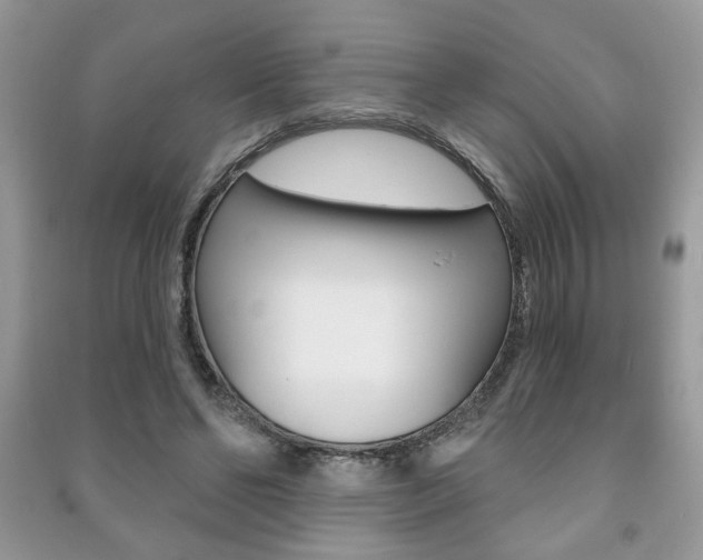X0000091170494200708091027