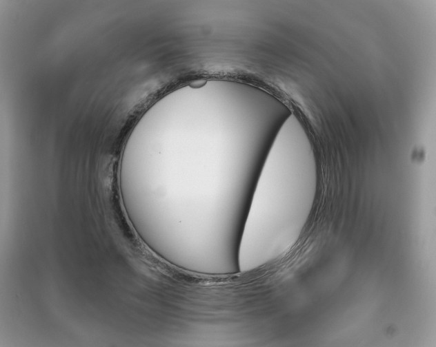X0000091170495200708091027