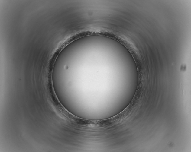 X0000091170496200708091027