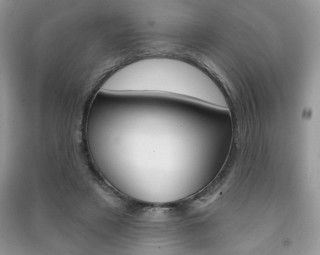 X0000091170497200708091027