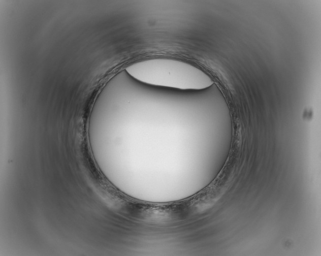 X0000091170498200708091027