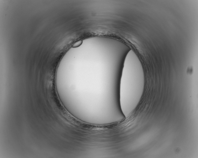 X0000091170499200708091027