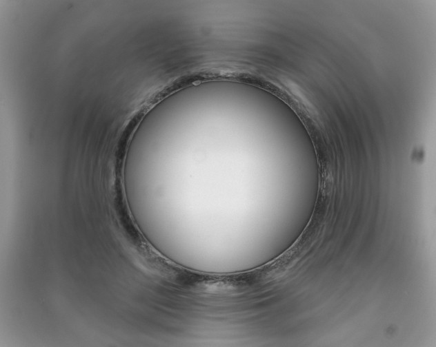 X0000091170500200708091027