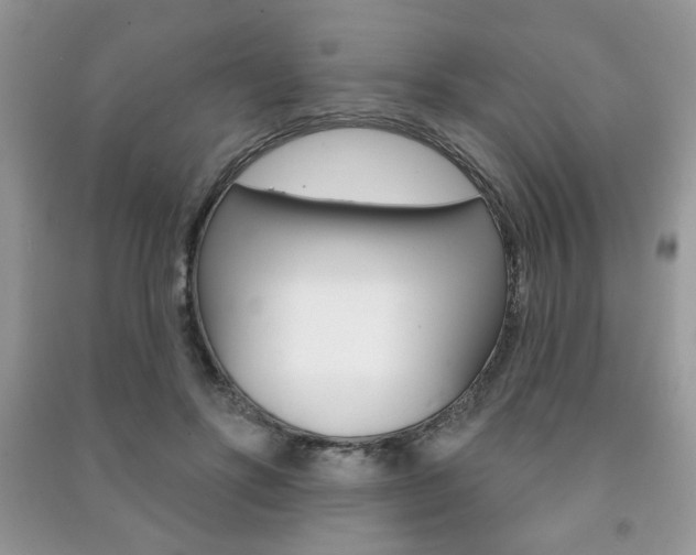 X0000091170502200708091027