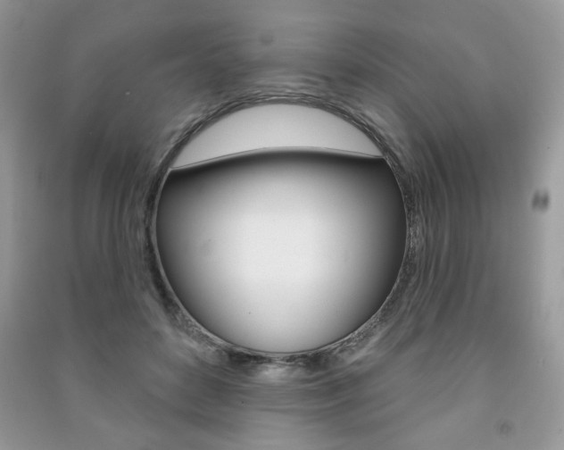 X0000091170504200708091027