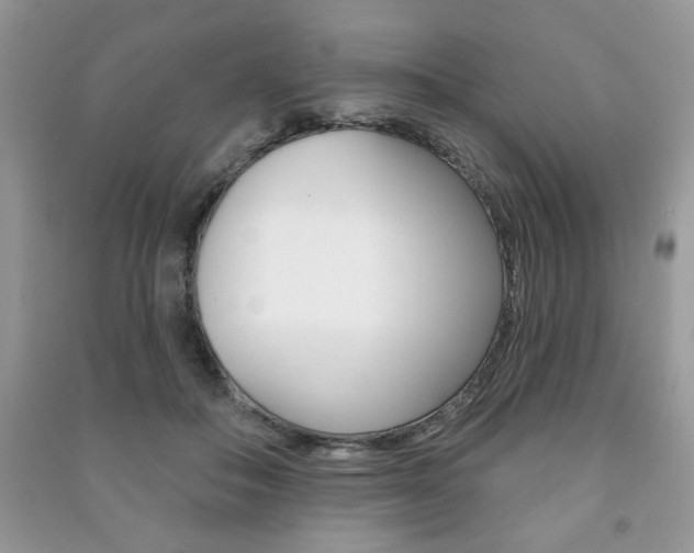X0000091170506200708091027