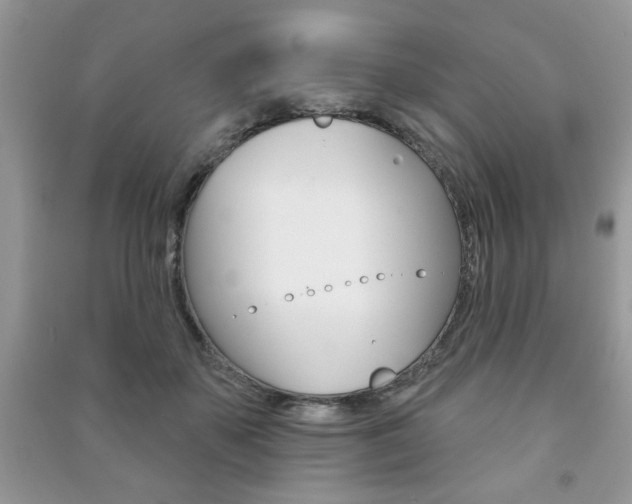 X0000091170507200708091027