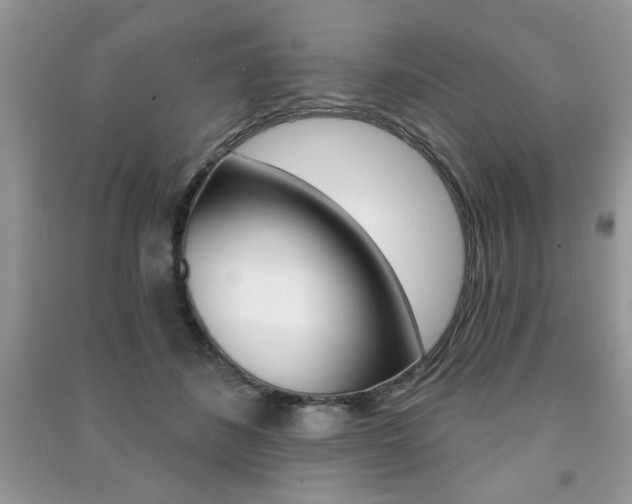 X0000091170508200708091027