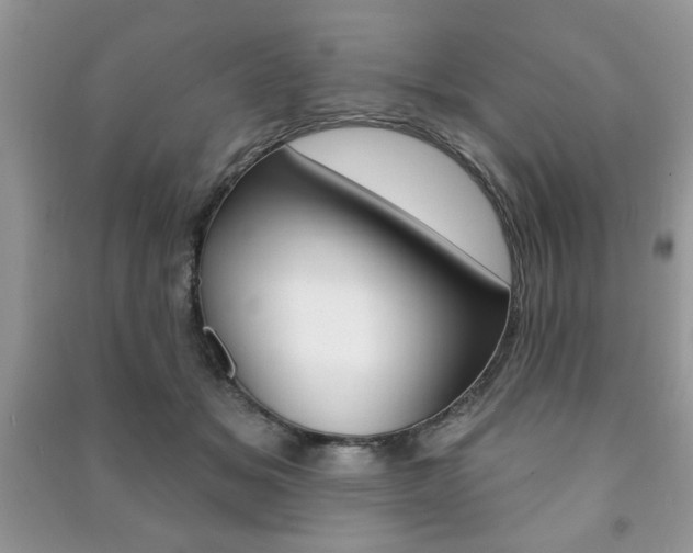 X0000091170509200708091027