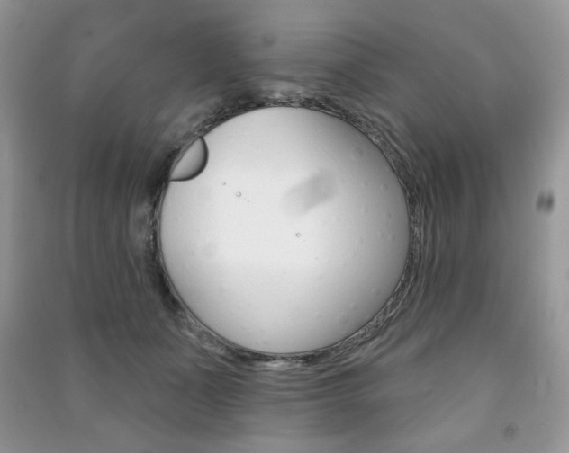 X0000091170511200708091027