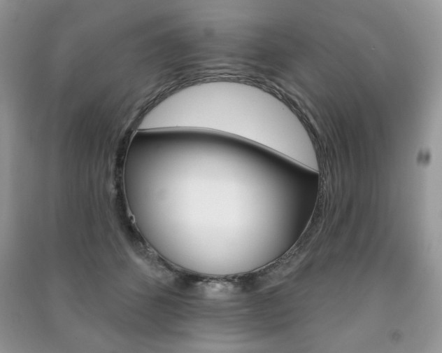 X0000091170512200708091027