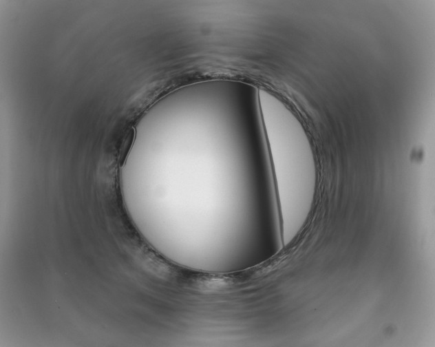 X0000091170513200708091027