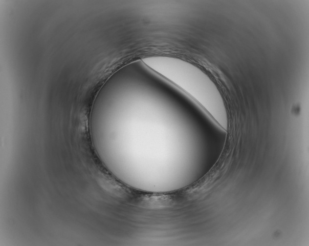 X0000091170517200708091027