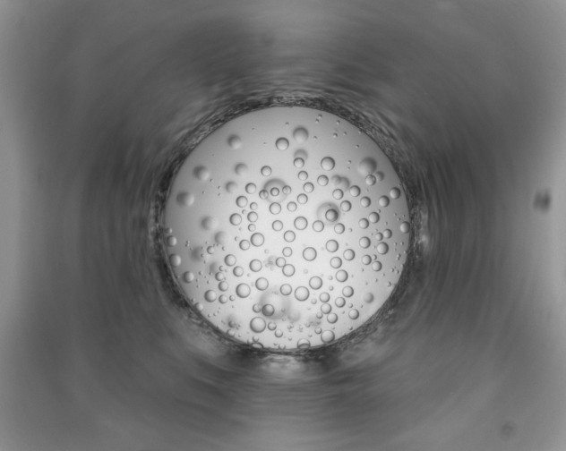 X0000091170519200708091027
