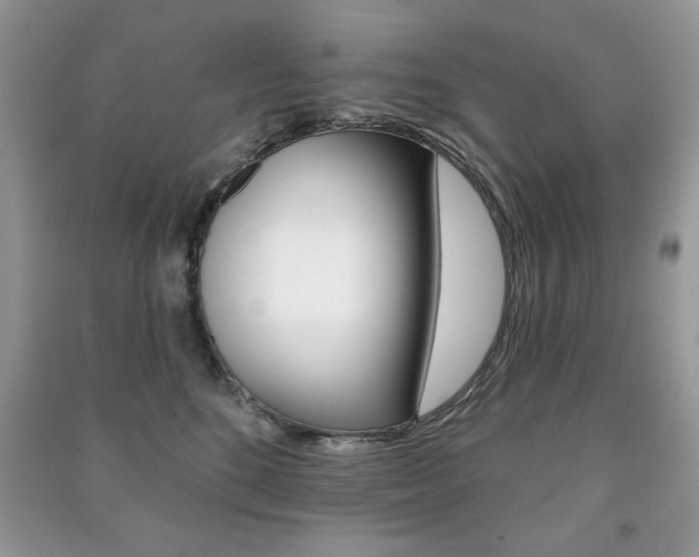 X0000091170520200708091027