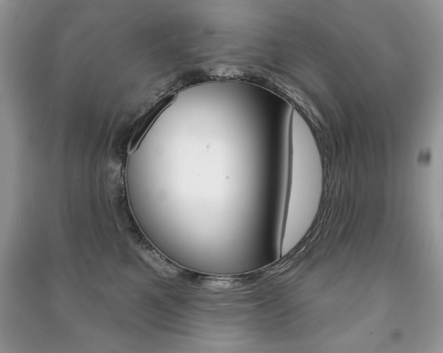 X0000091170521200708091027