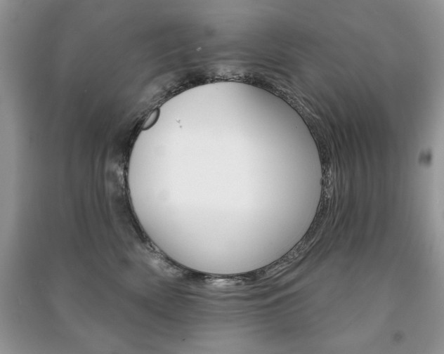 X0000091170522200708091027
