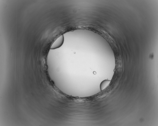 X0000091170523200708091027