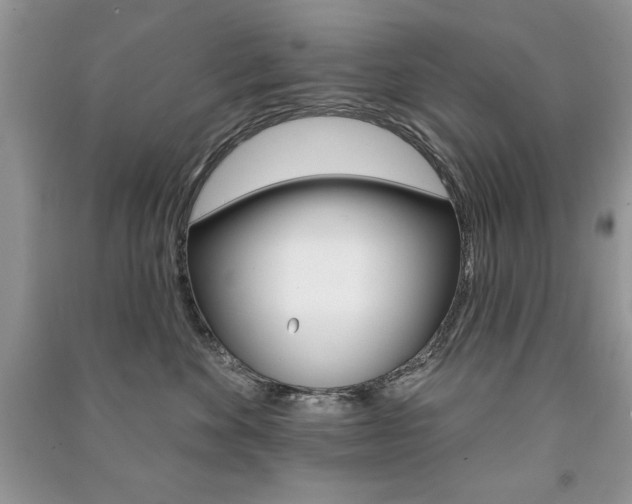 X0000091170524200708091027