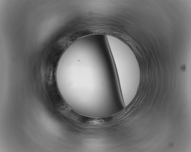 X0000091170525200708091027