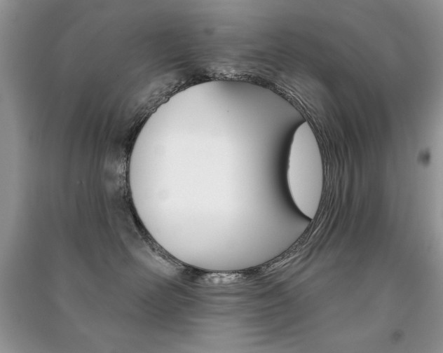 X0000091170526200708091026