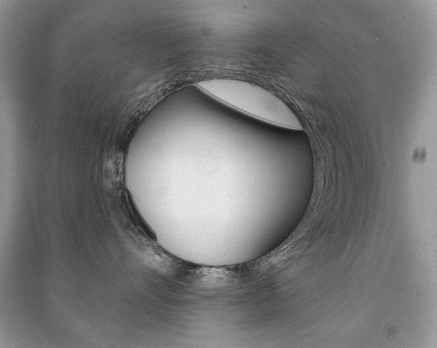 X0000091170528200708091026