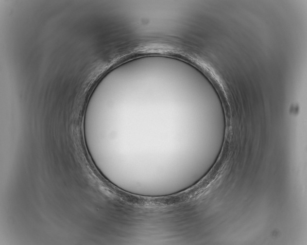 X0000091170529200708091026