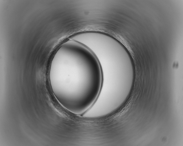 X0000091170530200708091026