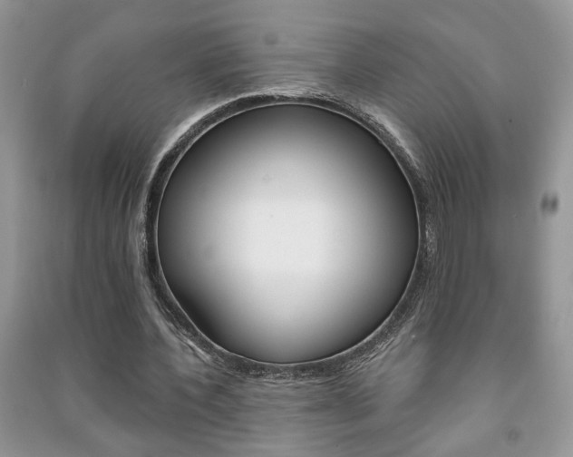 X0000091170532200708091026