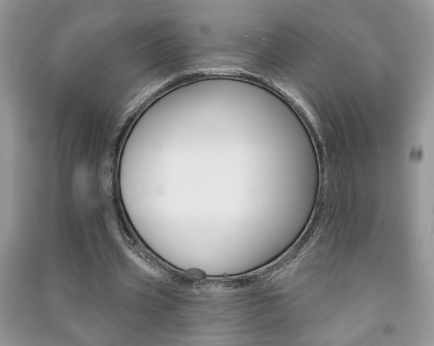 X0000091170533200708091026