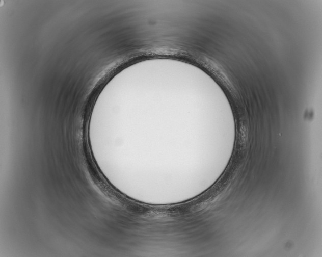 X0000091170534200708091026