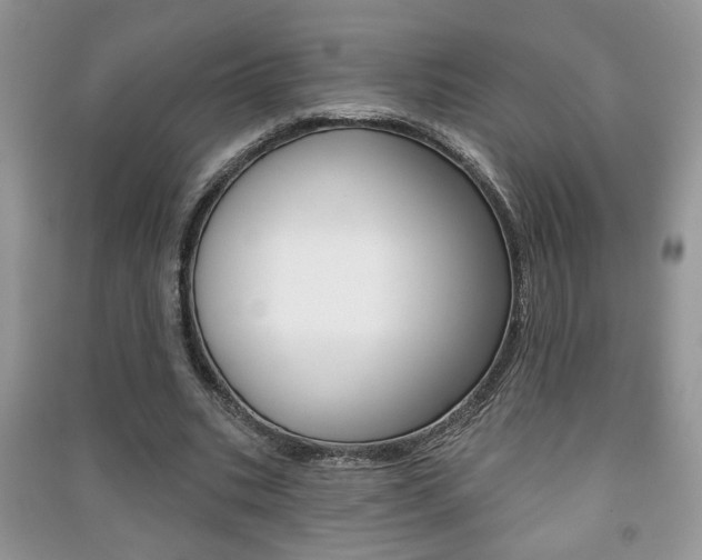 X0000091170535200708091026