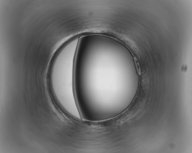 X0000091170536200708091026