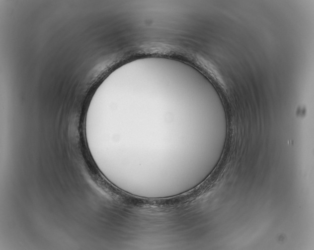 X0000091170538200708091026